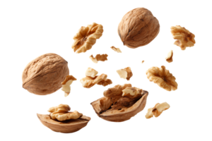 Isolated Brown Walnut Kernels and Whole Nuts on a Transparent Background Image png
