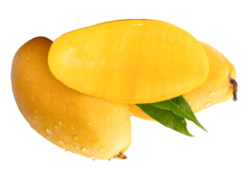 Two mango fruits and half with green leaves and water droplets in stack isolated with clipping path in file format png