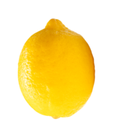 un todo Fruta de maduro amarillo limón aislado con recorte camino en archivo formato png