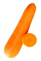 A fresh orange carrot root with slice in circle in stack isolated with clipping path in file format png