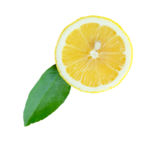 Ripe yellow lemon fruit in one half with green leaf isolated with clipping path in file format png