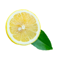 A circle of ripe yellow lemon fruit in one half with green leaf isolated with clipping path in file format png