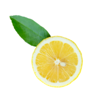 A slice of ripe yellow lemon fruit in one half with green leaf isolated with clipping path in file format png