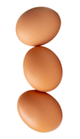 A standing stack of chicken eggs isolated with clipping path in file format png