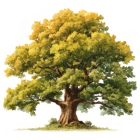 Majestic oak tree stands tall, showcasing its vibrant yellow and green foliage, symbolizing strength and nature beauty. This heavenly forest icon evokes sense of tranquility and connection to png