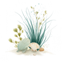 Underwater elements featuring seagrass and various shells create serene beach scene, evoking sense of tranquility and connection to nature. soft colors and delicate details enhance beauty of this png