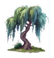 Elegant weeping willow tree with twisted trunk and luxurious foliage png