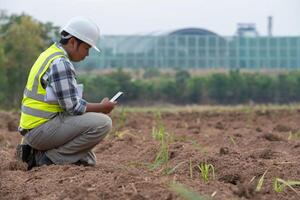 Agricultural worker using mobile device farm field digital technology rural environment ground level view modern agriculture practices photo
