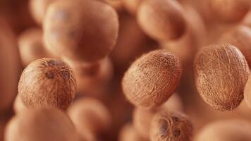 Animation of a group of coconuts. Defocus. Close-up. video