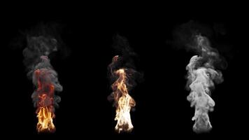Set of three fire burning variants. File contains Alpha Channel. video