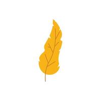 autum illustration flat design icon vector