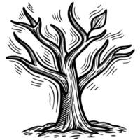 black and white tree illustration with branches and leaf, nature design element, artistic sketch, line art vector