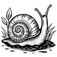 Intricate snail illustration detailed shell and tentacles, black and white line art vector