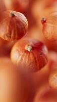 Animation of a group of pumpkins. Many pumpkins slowly rotate in the background in space. Vertical composition. Defocus. Close-up. video
