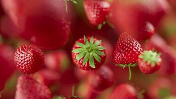 Animation of a group of strawberry. Many strawberry slowly rotate in the background in space. Horizontal composition. Defocus. Close-up. video