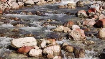 fast river flowing along a stone bottom. The splash of water in a wild mountain river on a summer day. video