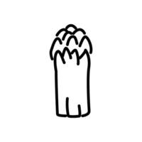 Upright asparagus cluster line icon vector