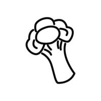 Tilted broccoli head line icon vector