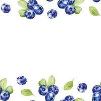 Watercolor seamless frame with blueberries background for decor, invitations etc vector