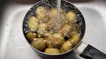 Washing fresh potatoes under running water in a kitchen setting, highlighting food preparation, cleanliness, and culinary techniques video
