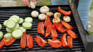 A vibrant barbecue scene featuring fresh vegetables like zucchini, red peppers, and mushrooms, perfect for a summer picnic or vegetarian feast video