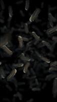 Close up microscopic view of infectious bacteria cells flowing towards the camera. Ideal for projects related to microbiology, healthcare and science. Full HD and looping vertical medical background. video