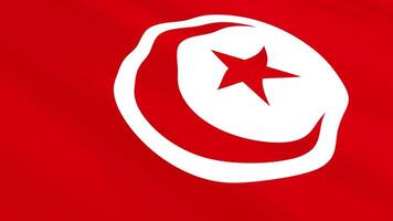 Tunisia Flag Waving Gently in the Wind, Close-Up Full-Frame Perspective, Soft Fabric Texture, Slow Motion, Natural Movement, Waving Flag Background video