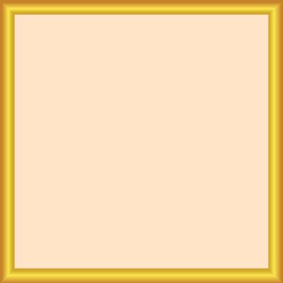 Golden photo frame icon. Gradient smooth material. Simple illustration.