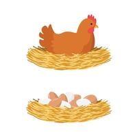 Icon with a chicken in a nest and an icon with chicken eggs on a white background. Farm product. vector
