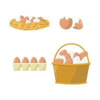 Set of chicken eggs icons on white background. Eggs in basket, in tray, in nest and eggshell. vector
