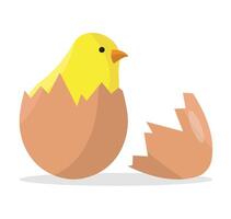 Icon of a hatched chicken from an egg on a white background. vector