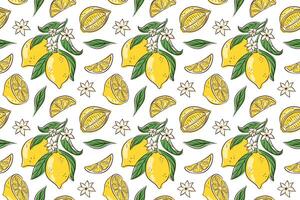 Colorful seamless pattern with hand drawn lemon, leaf and flower on a white background. Perfect for textile, packaging, summer theme and fresh fruit design project. vector