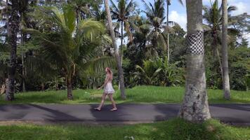 Side view of woman in white dress walking along tropical palm-lined road in Bali, Indonesia. Peaceful island setting with lush greenery, palm trees, and serene atmosphere. video