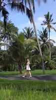 Side view of woman in white dress walking along tropical palm-lined road in Bali, Indonesia. Peaceful island setting with lush greenery, palm trees, and serene atmosphere. video