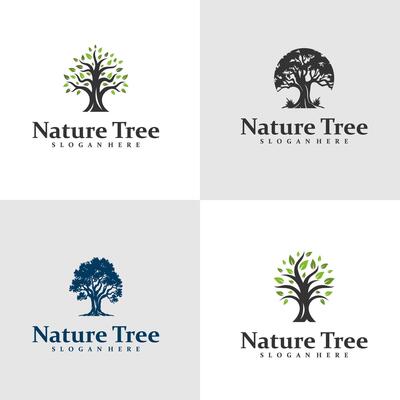 Set of Oak Tree logo design concept . Oak Tree Logo Design Template. Creative Symbol. Icon