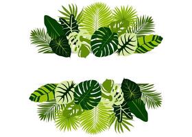 Tropical banner arranged from exotic emerald leaves. Paradise plants, greenery and palm card. Frame. illustration vector