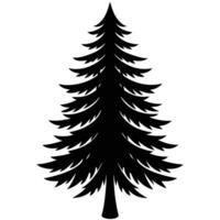 spruce tree on white background vector