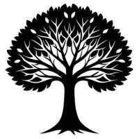 Sycamore tree on white background vector