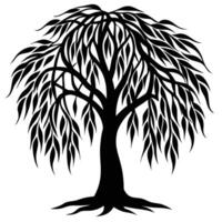 Willow tree on white background vector