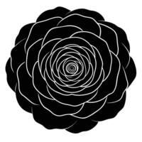 A black and white flower with a spiral in the center vector