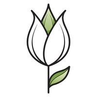 Simple outline illustration of a white tulip vector