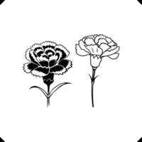 Two carnation Flower 's, Layered Petal Structure, Slender Stems, Serrated Leaves in Elegant Line Art vector