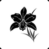 Contrast of Tulip silhouette - Light vs Dark Shading, Distinct Petal and Leaf Detailing vector