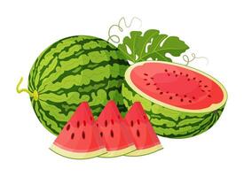 Red watermelon whole, half, cut into wedges and green leaves. Botanical fruit Hand drawn trendy flat style isolated icon on a transparent background for card design, print, banner, packaging, label vector