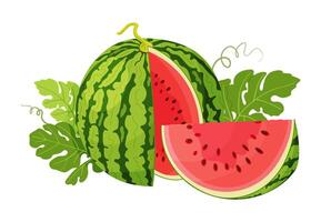 Watermelon slices and green leaves. Botanical fruit berry composition. Hand drawn trendy flat style isolated icon on a transparent background for card design, print, banner, packaging, label vector