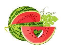Red watermelon slices and green leaves. Botanical fruit berry composition. Hand drawn trendy flat style isolated icon on a transparent background for card design, print, label, banner, packaging. vector