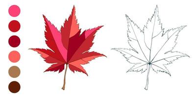 Set of hand-drawn fall colored maple leaves isolated on white background. Flat and line styles autumn illustration. vector