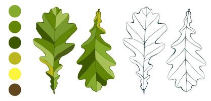 Set of hand-drawn colored oak leaves and greenery color palette isolated on white background. Flat and line styles illustration. vector