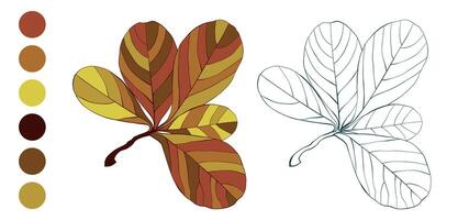Set of hand-drawn fall colorful autumn leaves isolated on white background. Flat and line styles illustration. vector