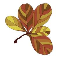 Hand-drawn autumn colored fall leaf isolated on white background. Flat line style illustration. vector